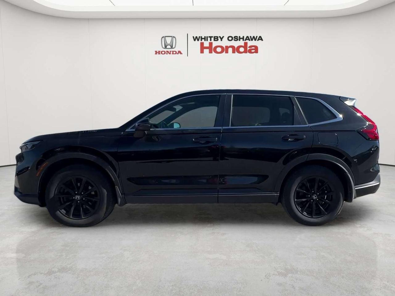 2025 Honda CR-V EX-L Photo2