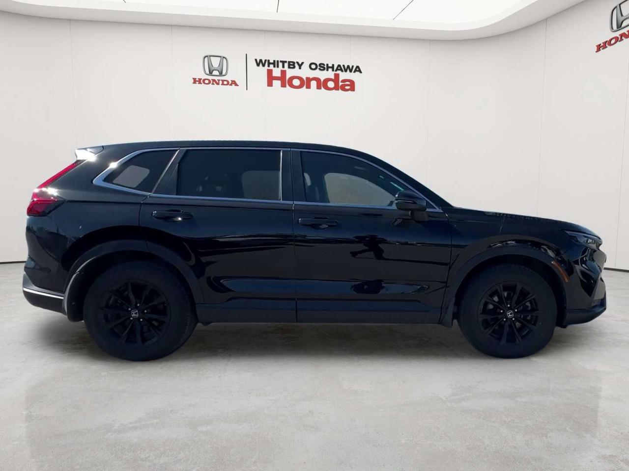 2025 Honda CR-V EX-L Photo