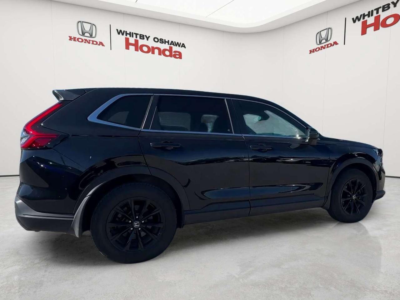 2025 Honda CR-V EX-L Photo