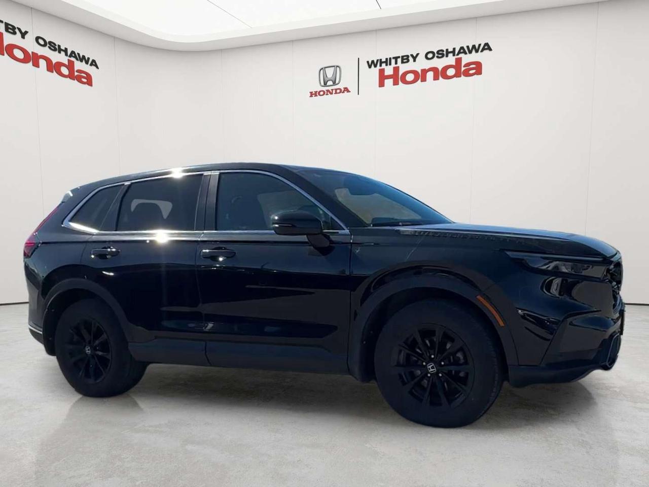 2025 Honda CR-V EX-L Photo