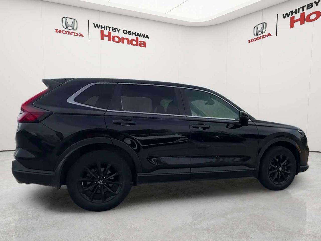 2025 Honda CR-V EX-L Photo