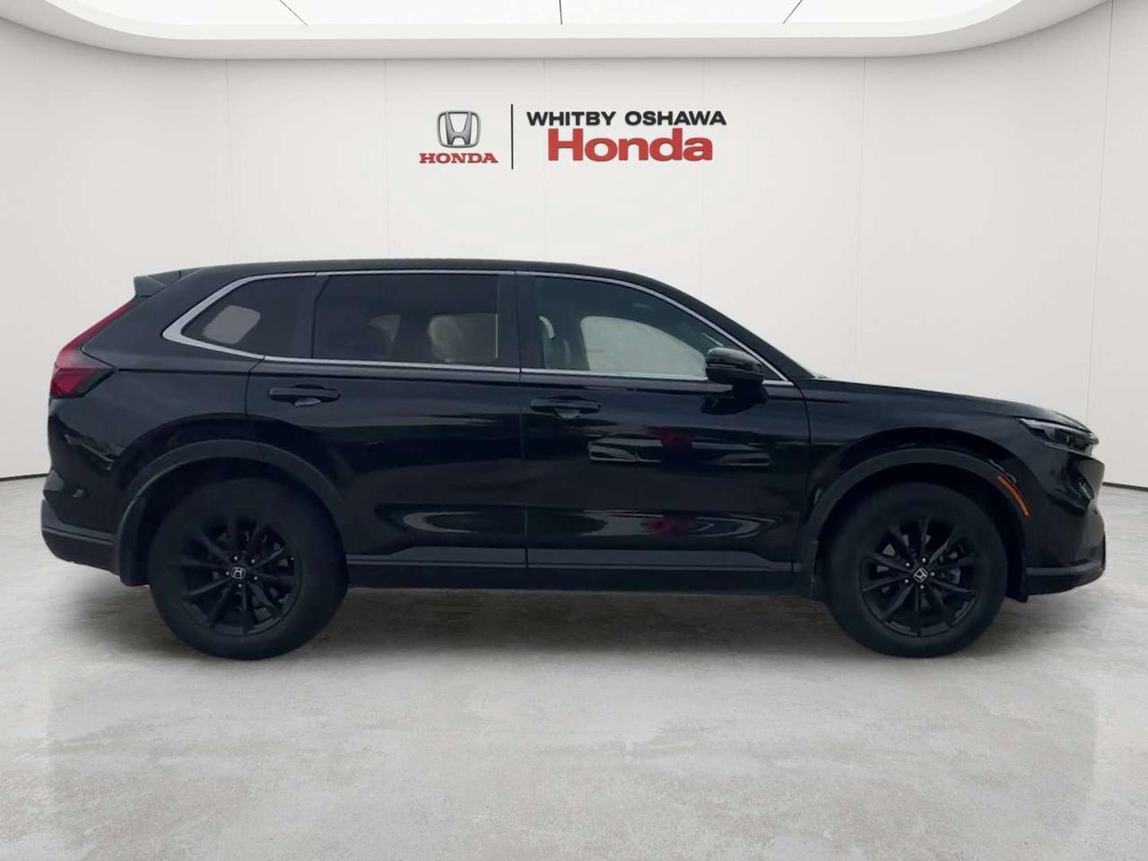 2025 Honda CR-V EX-L Photo