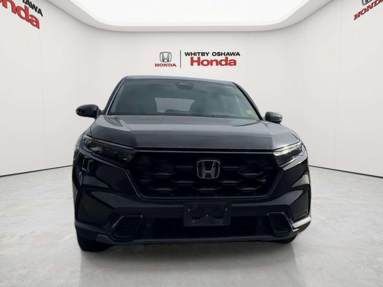 2025 Honda CR-V EX-L Photo