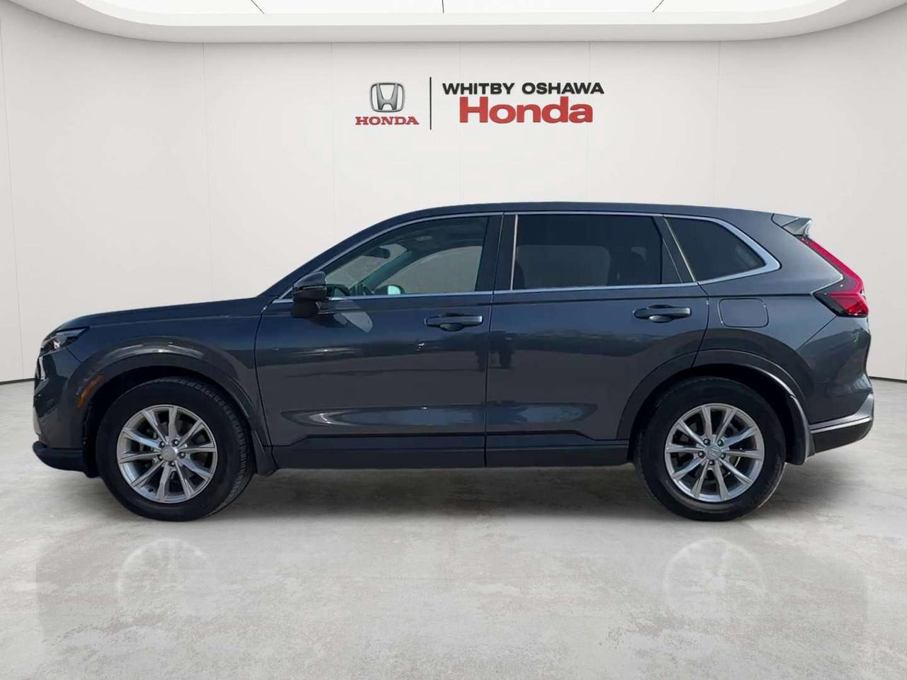 2024 Honda CR-V EX-L Photo