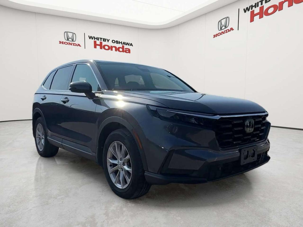2024 Honda CR-V EX-L Photo