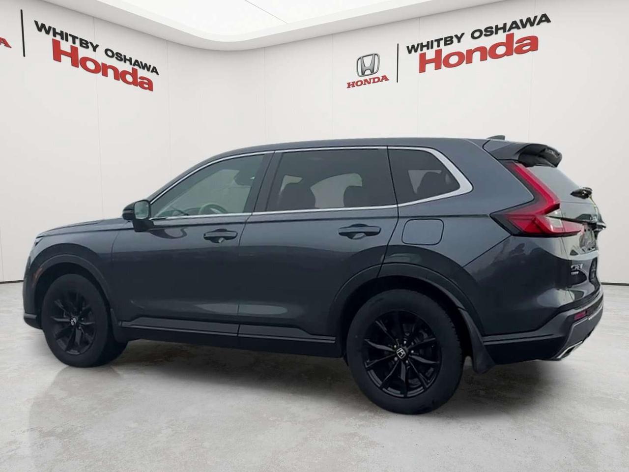 2025 Honda CR-V EX-L Photo