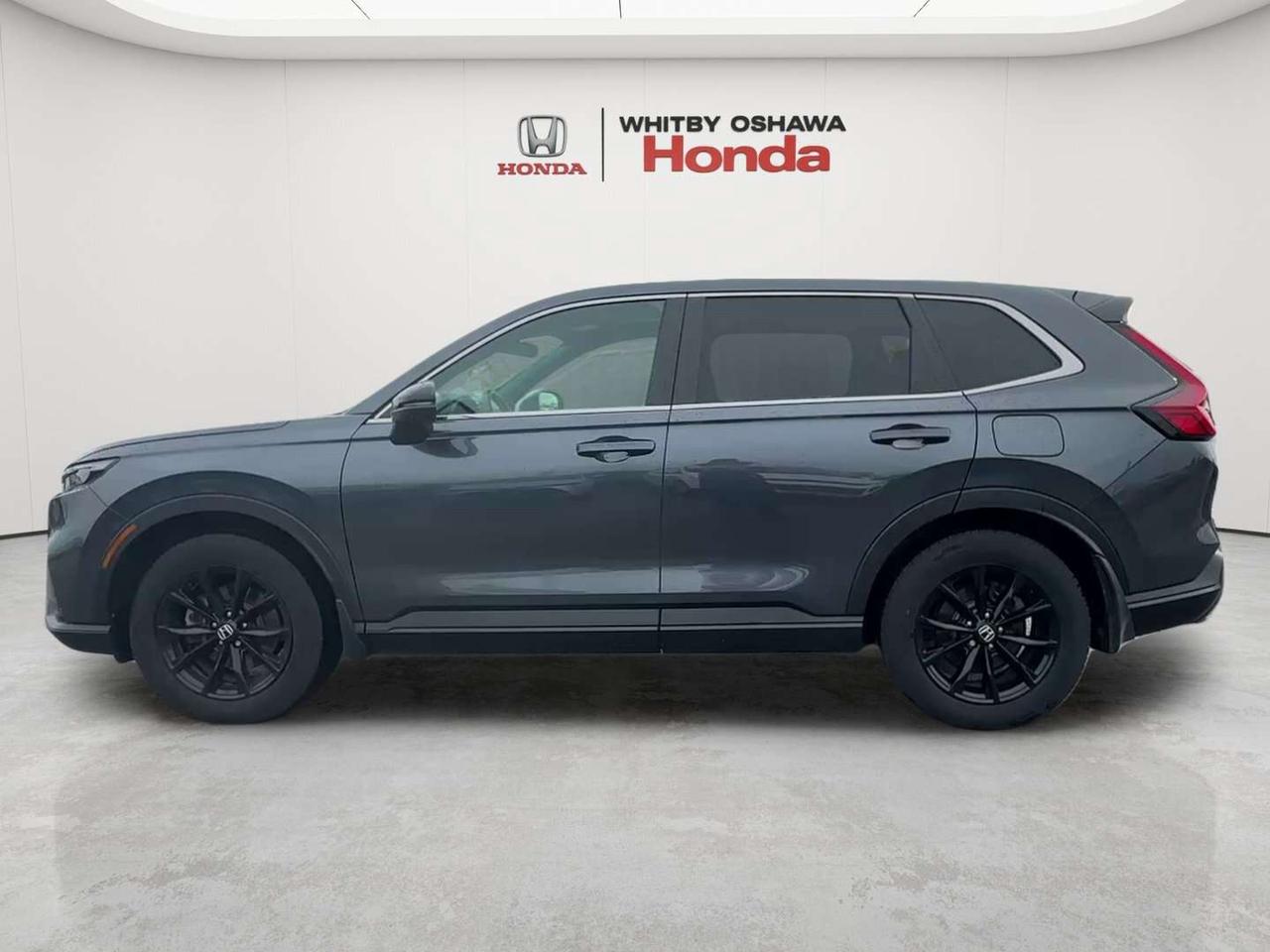 2025 Honda CR-V EX-L Photo