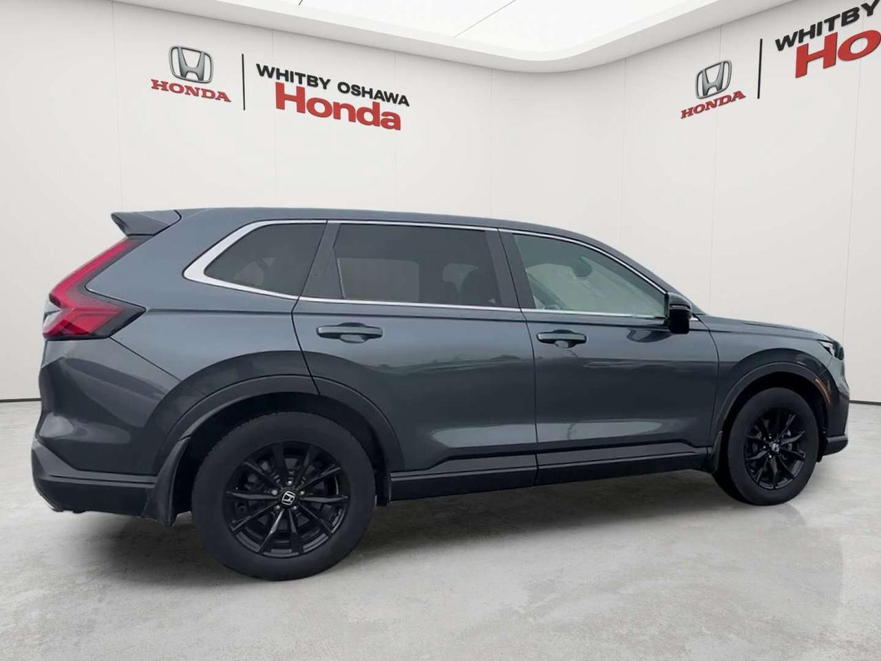 2025 Honda CR-V EX-L Photo