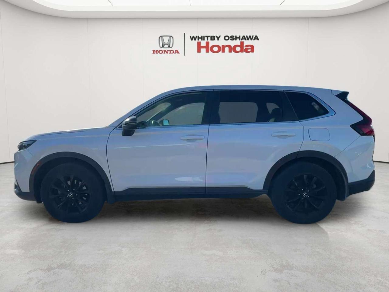 2024 Honda CR-V EX-L Photo