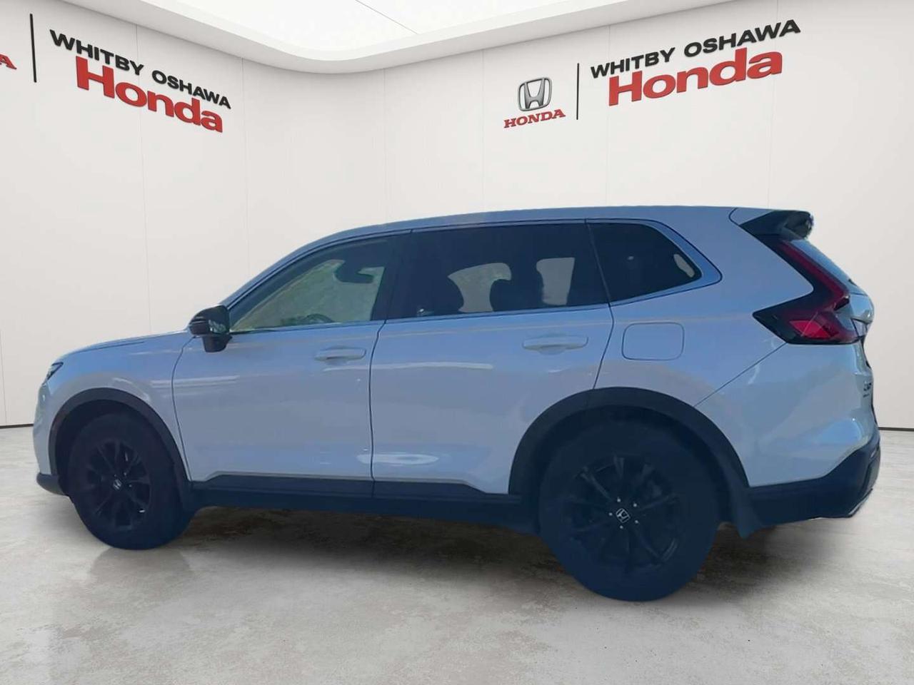 2024 Honda CR-V EX-L Photo3