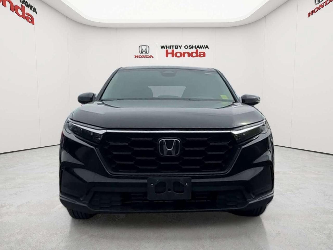 2025 Honda CR-V LX Photo