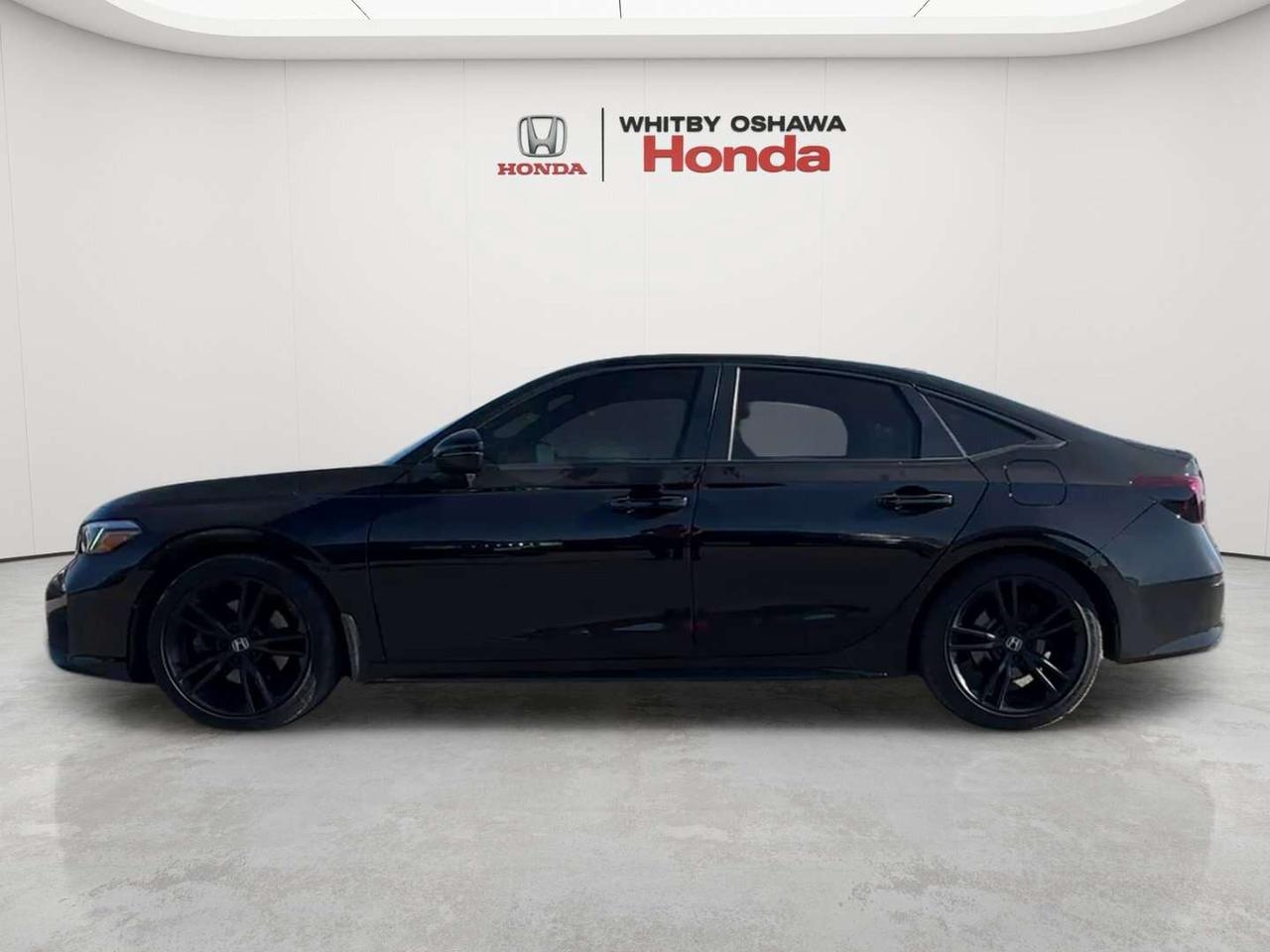 2025 Honda Civic  Photo