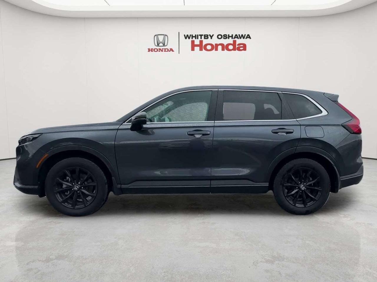 2025 Honda CR-V EX-L Photo