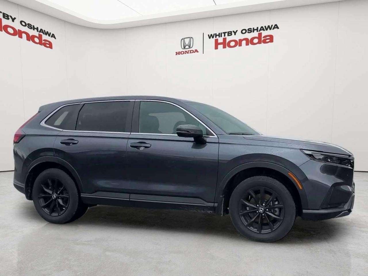 2025 Honda CR-V EX-L Photo