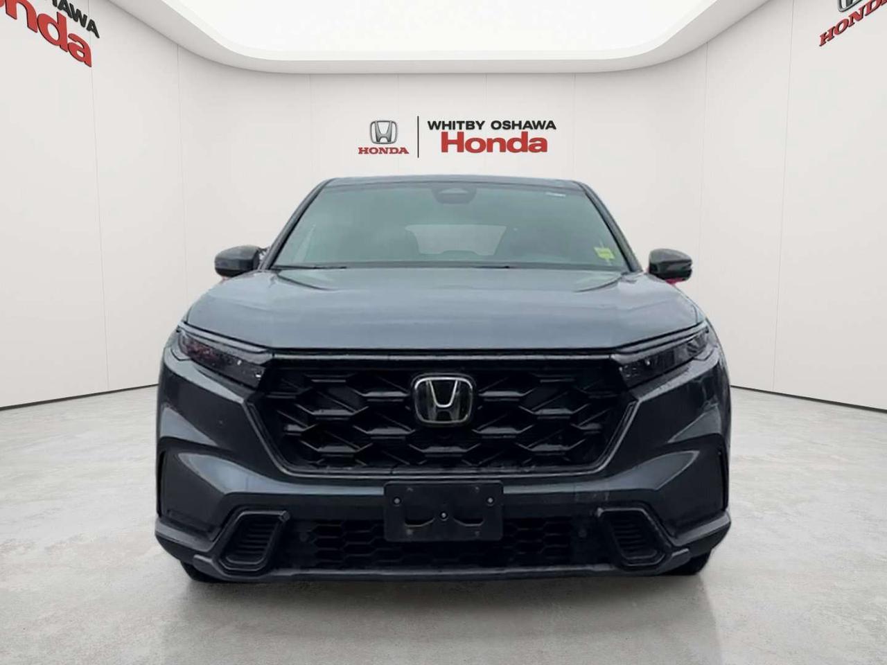 2025 Honda CR-V EX-L Photo