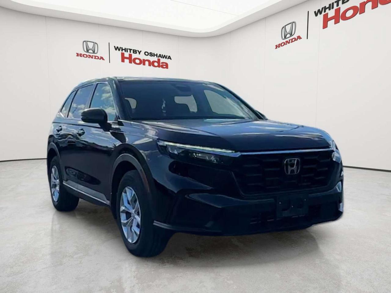 2026 Honda CR-V LX Photo