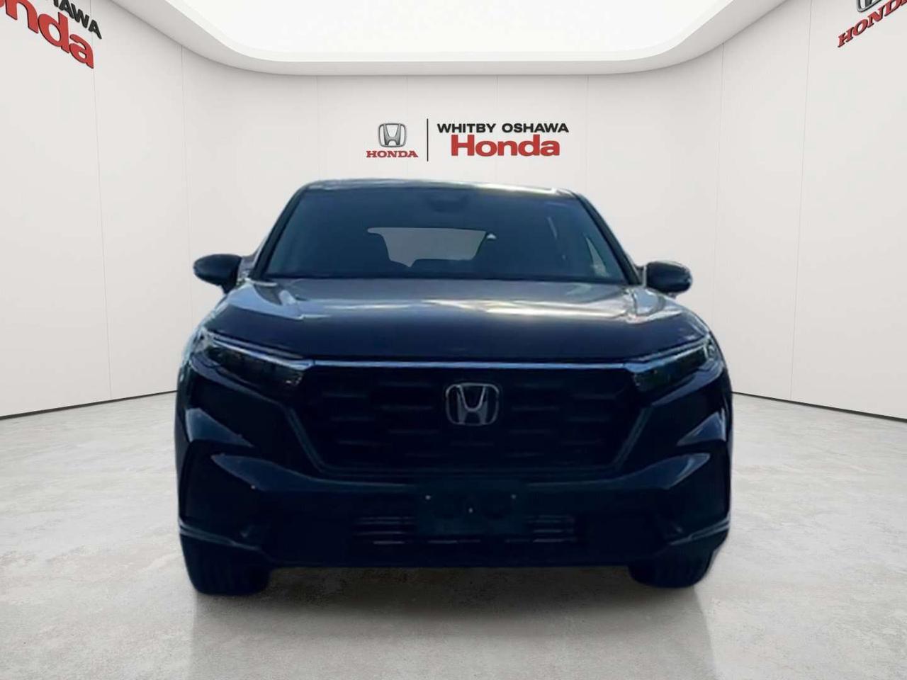 2026 Honda CR-V LX Photo