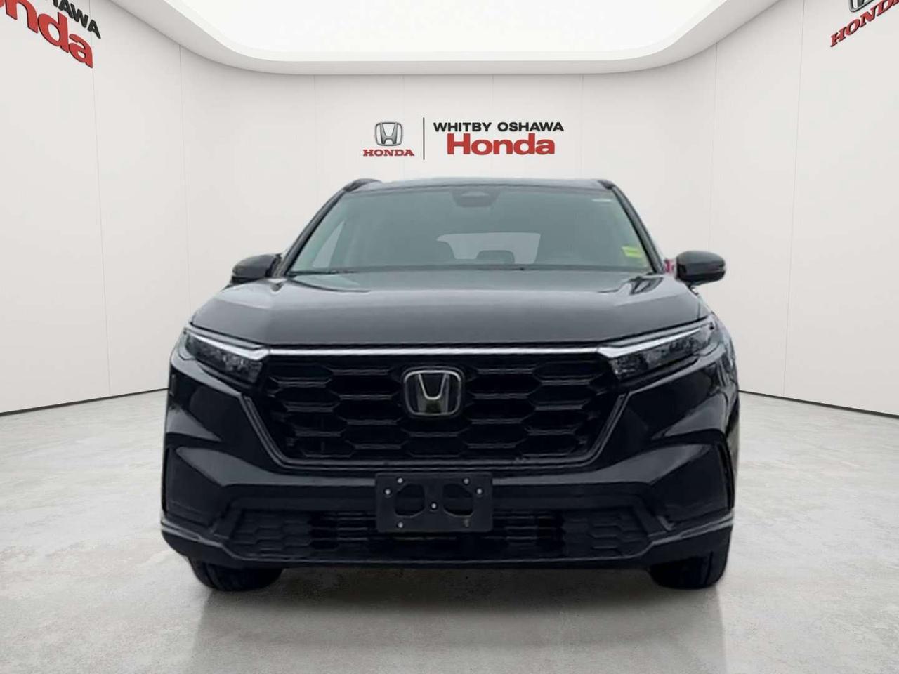 2025 Honda CR-V Sport Photo