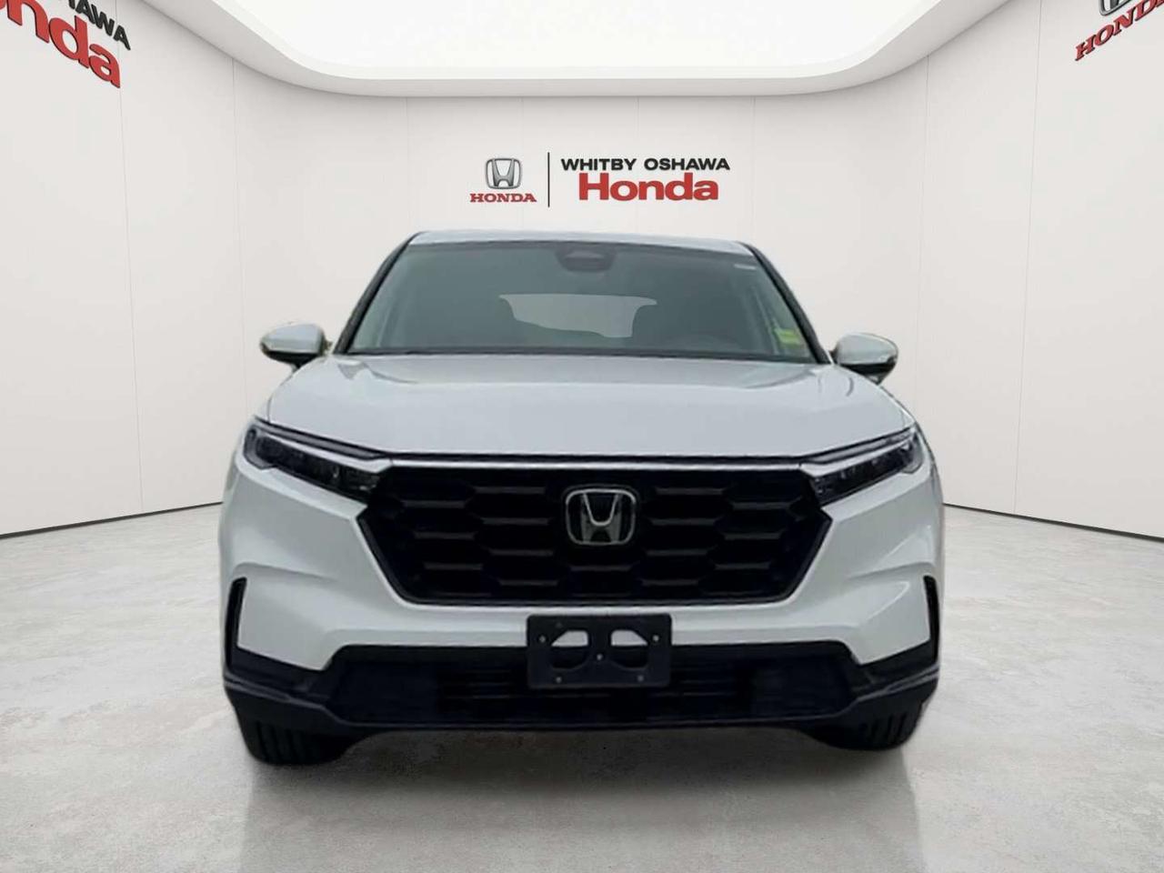 2025 Honda CR-V LX Photo