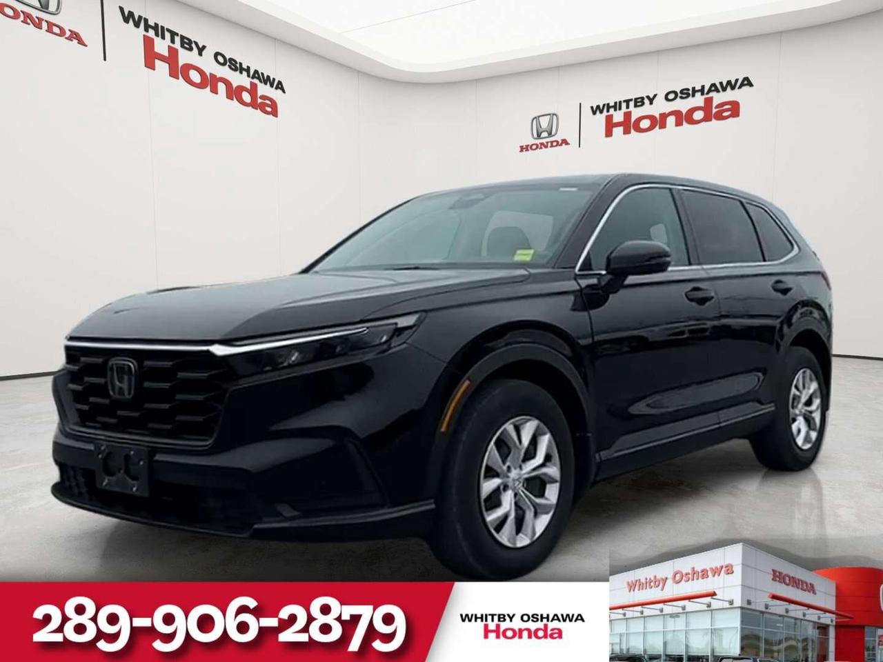 2024 Honda CR-V LX Photo