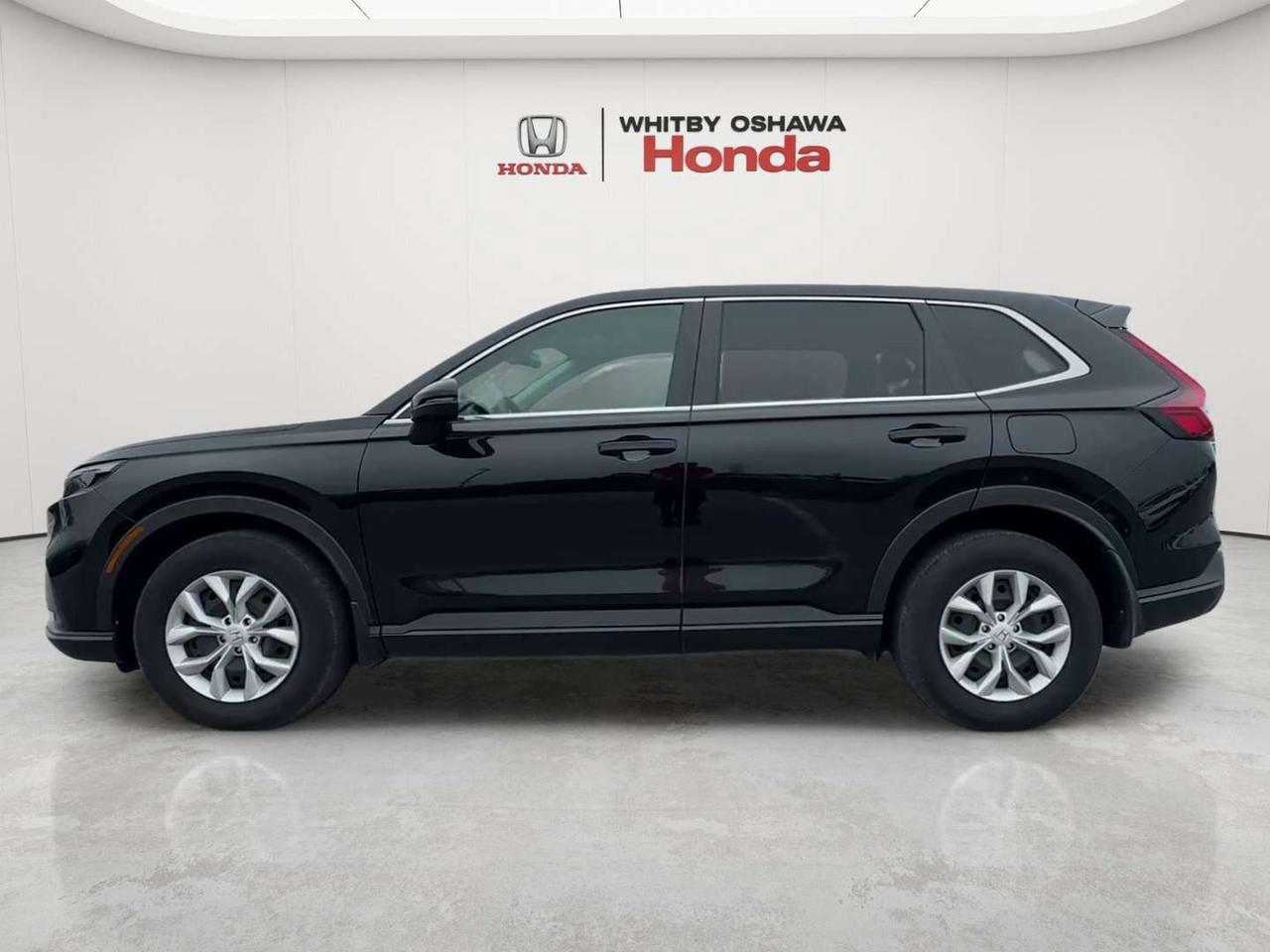 2024 Honda CR-V LX Photo