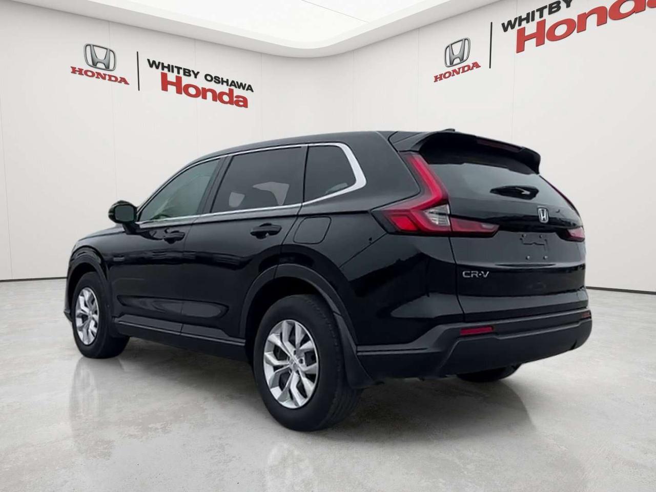 2024 Honda CR-V LX Photo