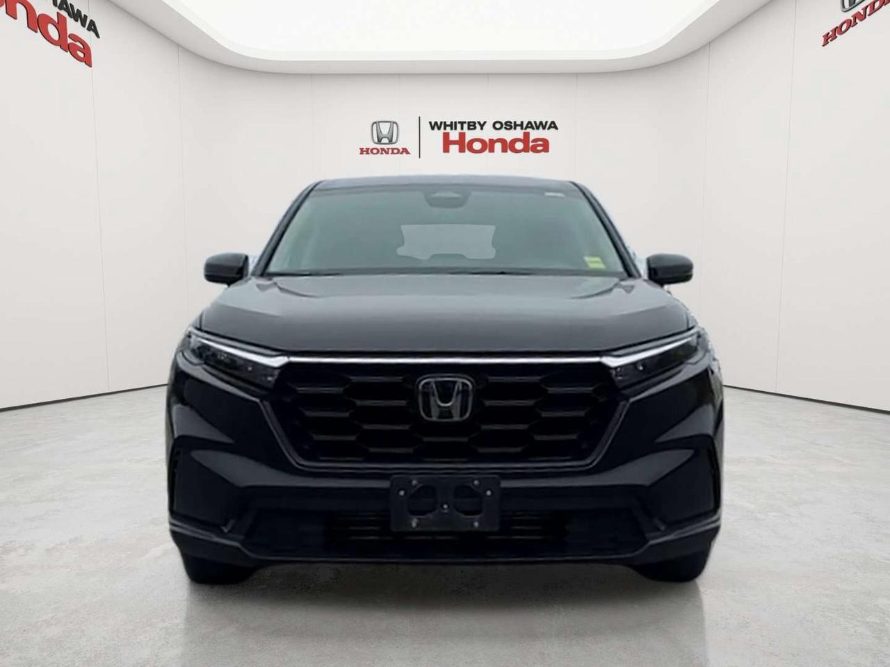 2024 Honda CR-V LX Photo