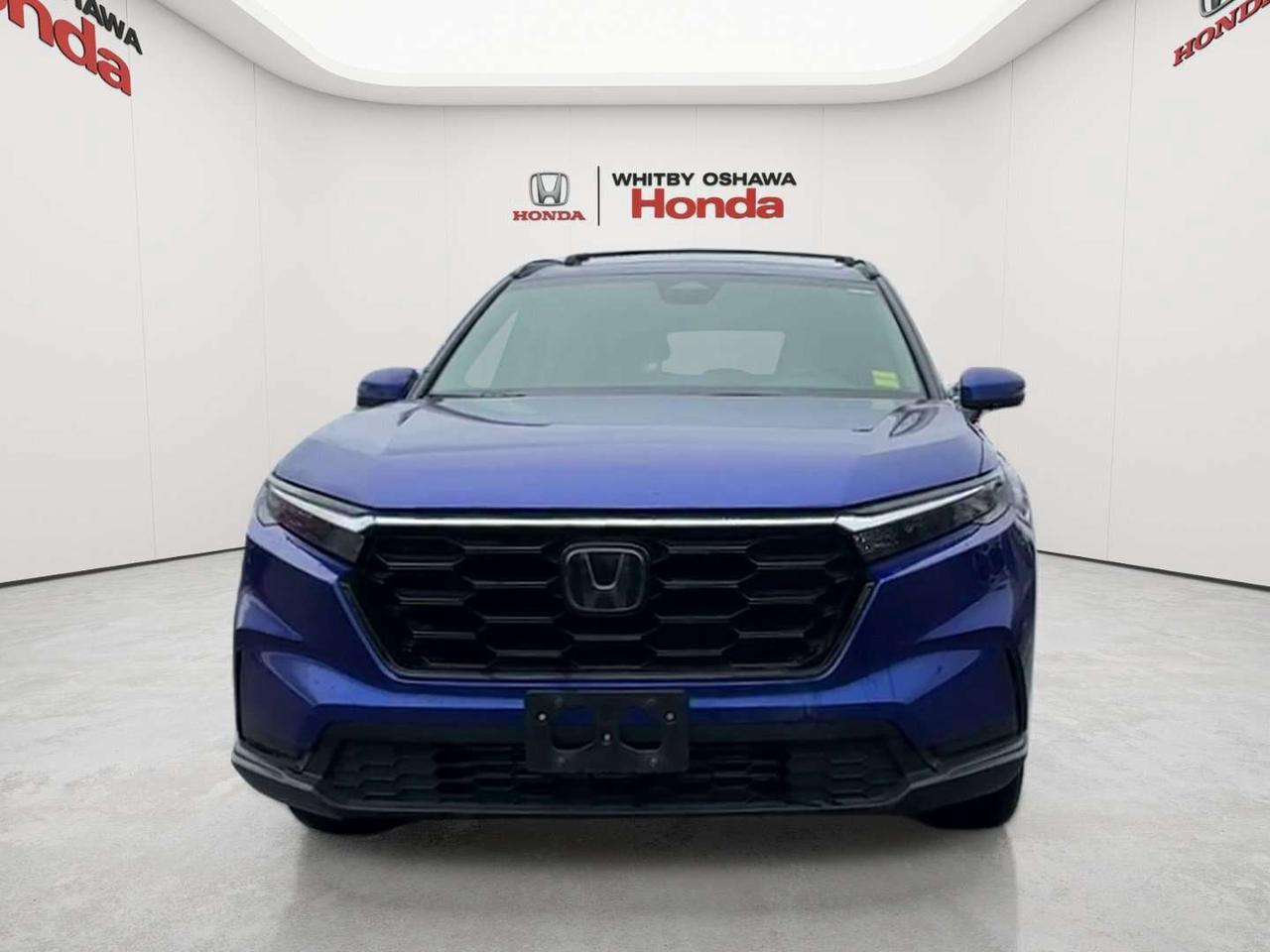 2025 Honda CR-V Sport Photo