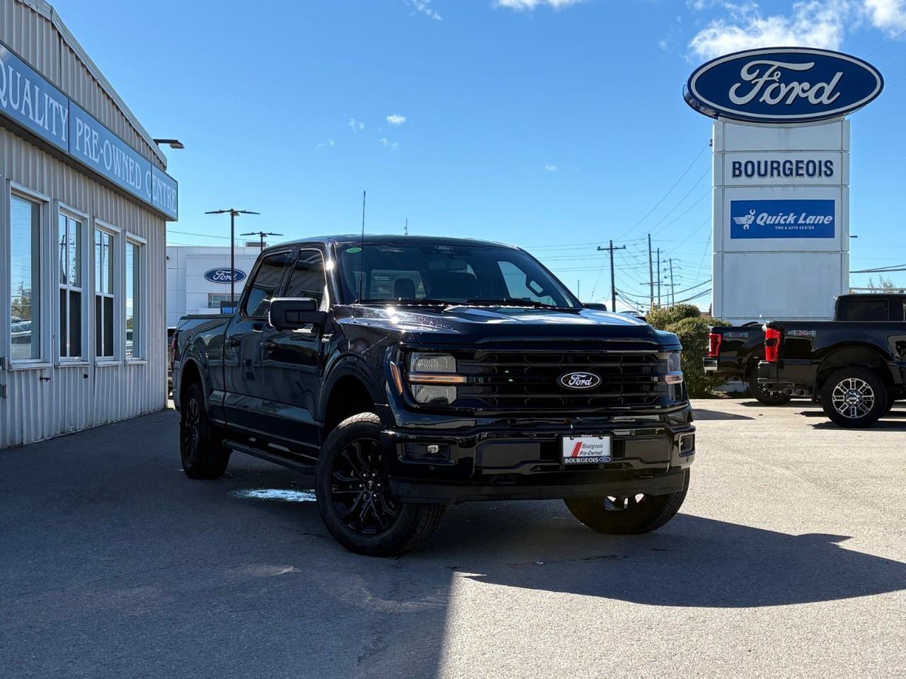 2024 Ford F-150 XLT 4WD SuperCrew 6.5' Box Photo