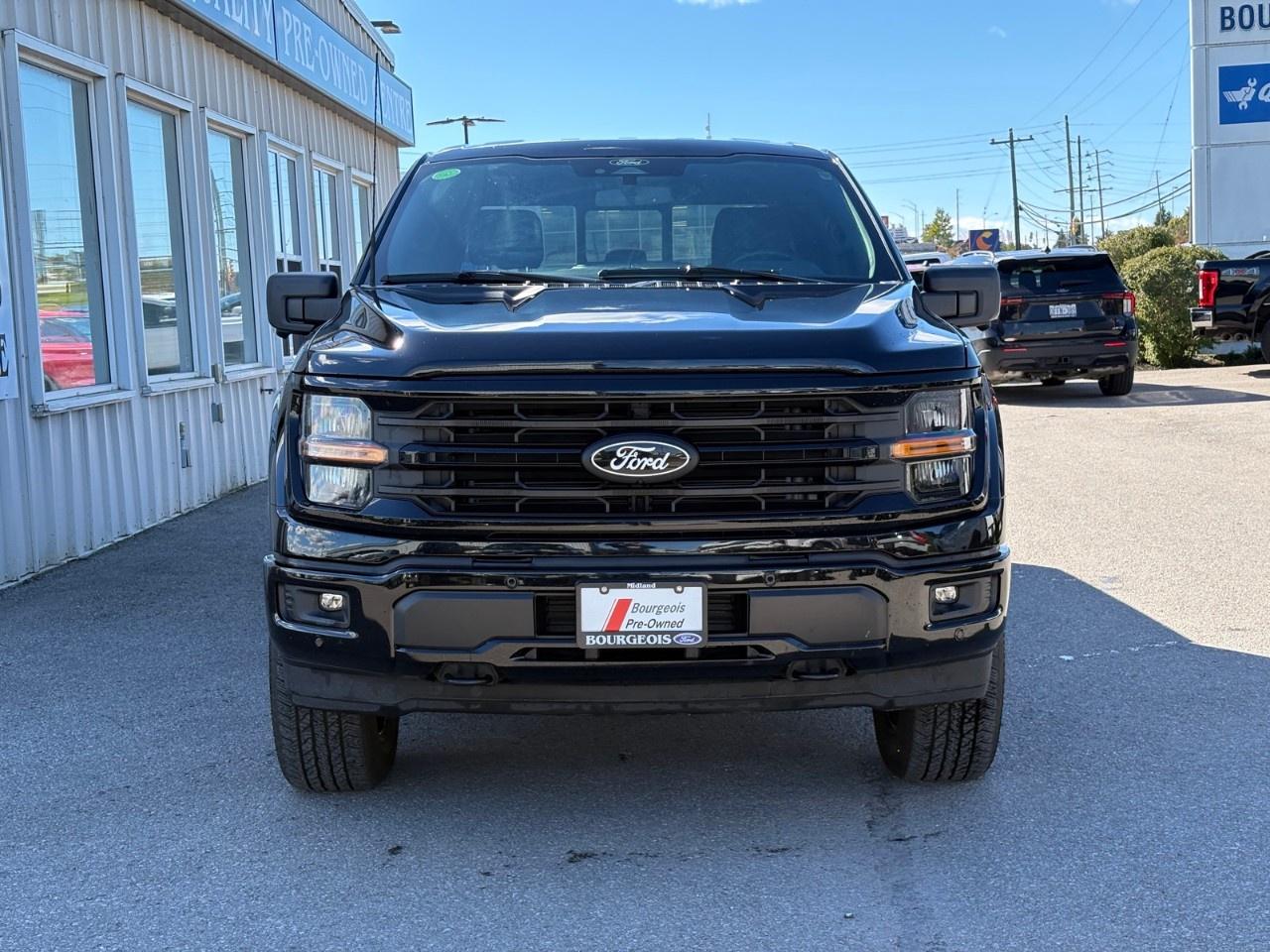 2024 Ford F-150 XLT 4WD SuperCrew 6.5' Box Photo