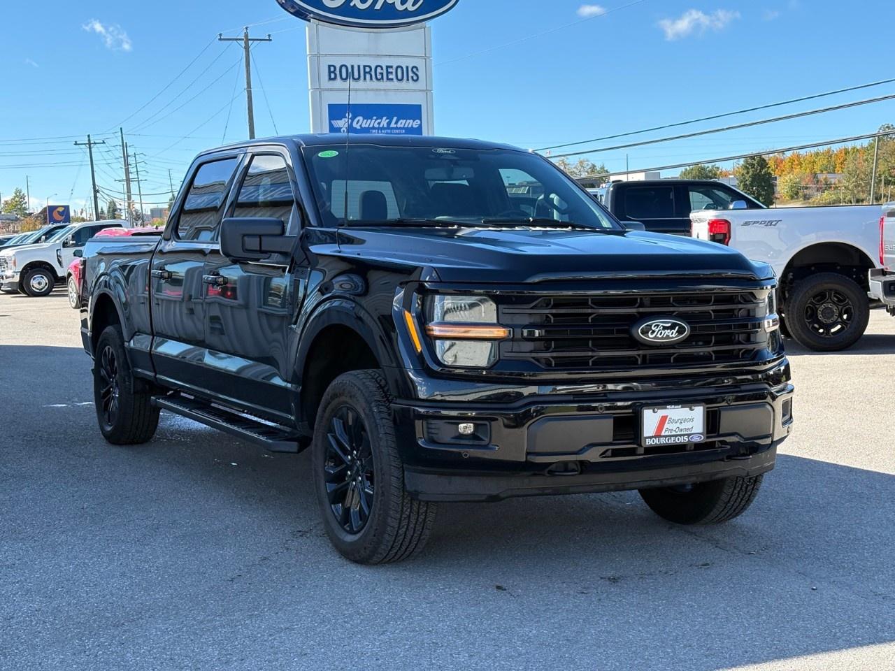 2024 Ford F-150 XLT 4WD SuperCrew 6.5' Box Photo
