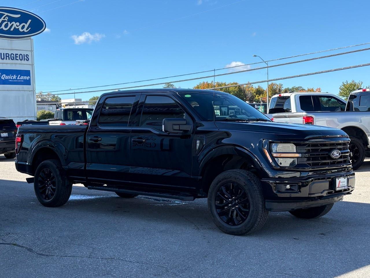 2024 Ford F-150 XLT 4WD SuperCrew 6.5' Box Photo