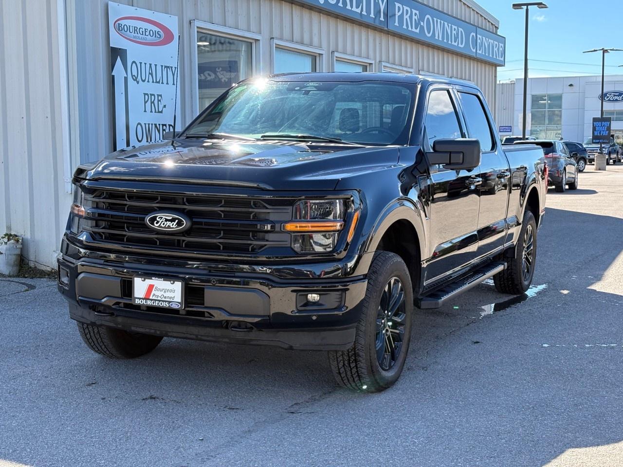 2024 Ford F-150 XLT 4WD SuperCrew 6.5' Box Photo