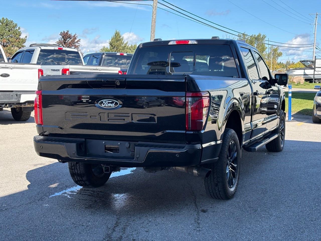 2024 Ford F-150 XLT 4WD SuperCrew 6.5' Box Photo