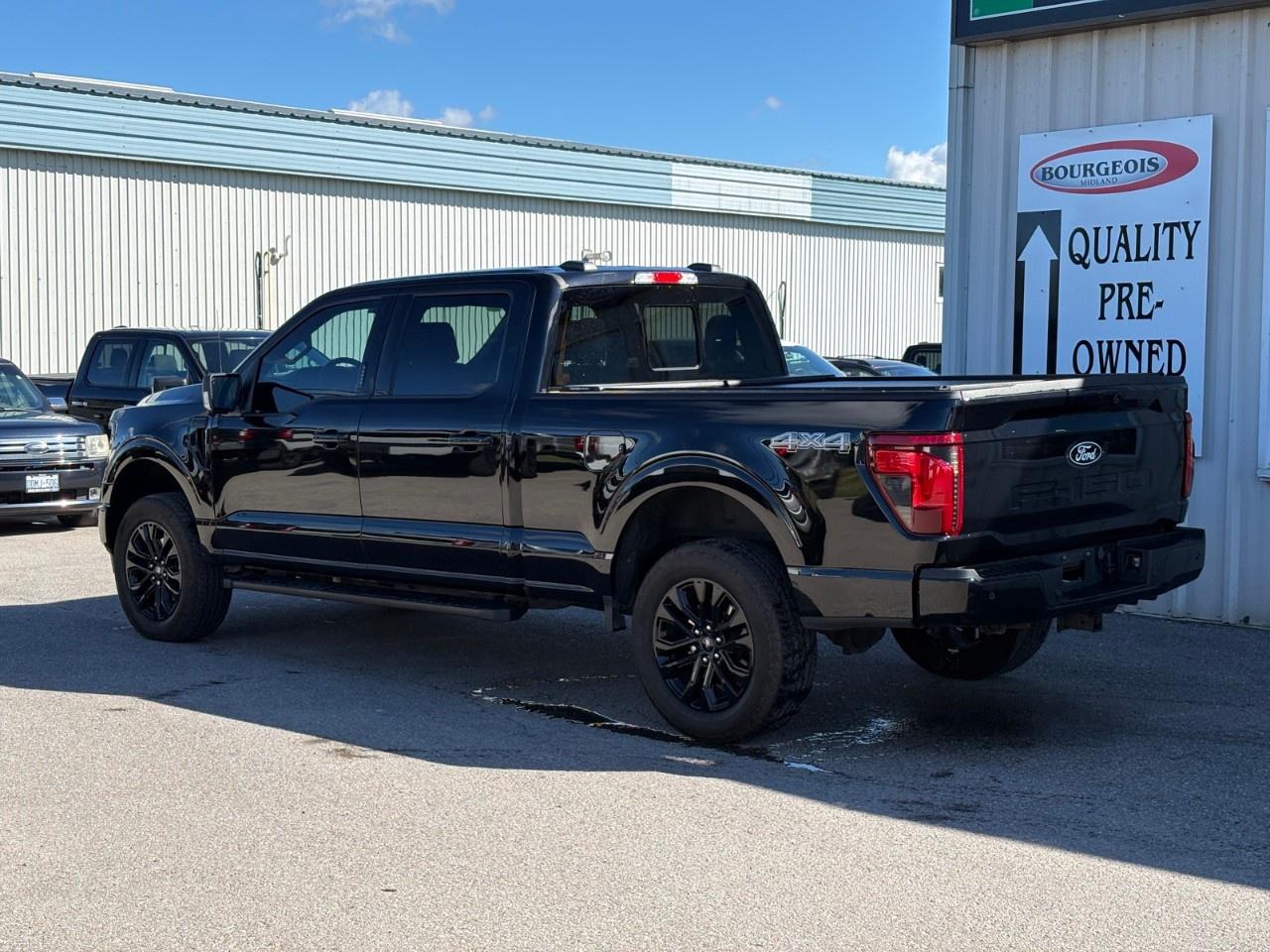 2024 Ford F-150 XLT 4WD SuperCrew 6.5' Box Photo