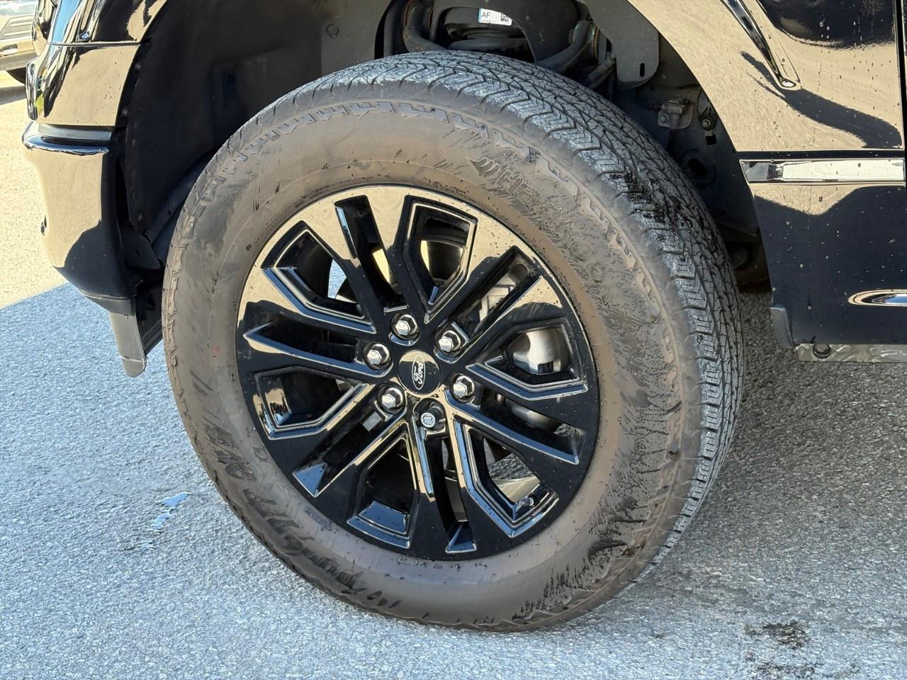 2024 Ford F-150 XLT 4WD SuperCrew 6.5' Box Photo