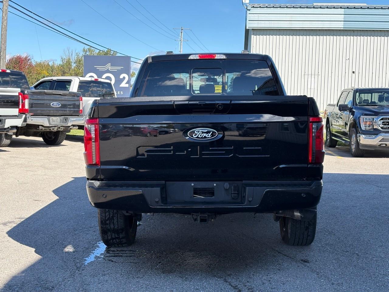 2024 Ford F-150 XLT 4WD SuperCrew 6.5' Box Photo