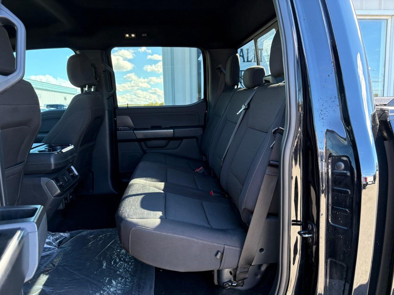 2024 Ford F-150 XLT 4WD SuperCrew 6.5' Box Photo