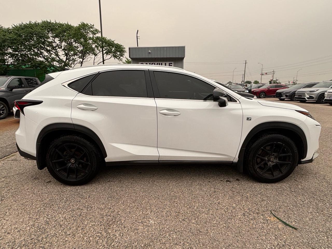 2016 Lexus NX 200t F-Sport 3 AWD 4dr Photo