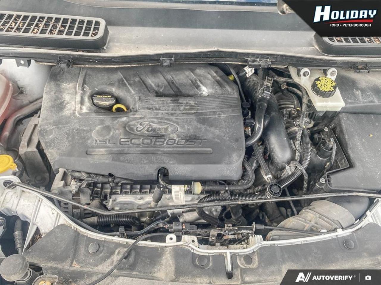 2018 Ford Escape SEL Photo