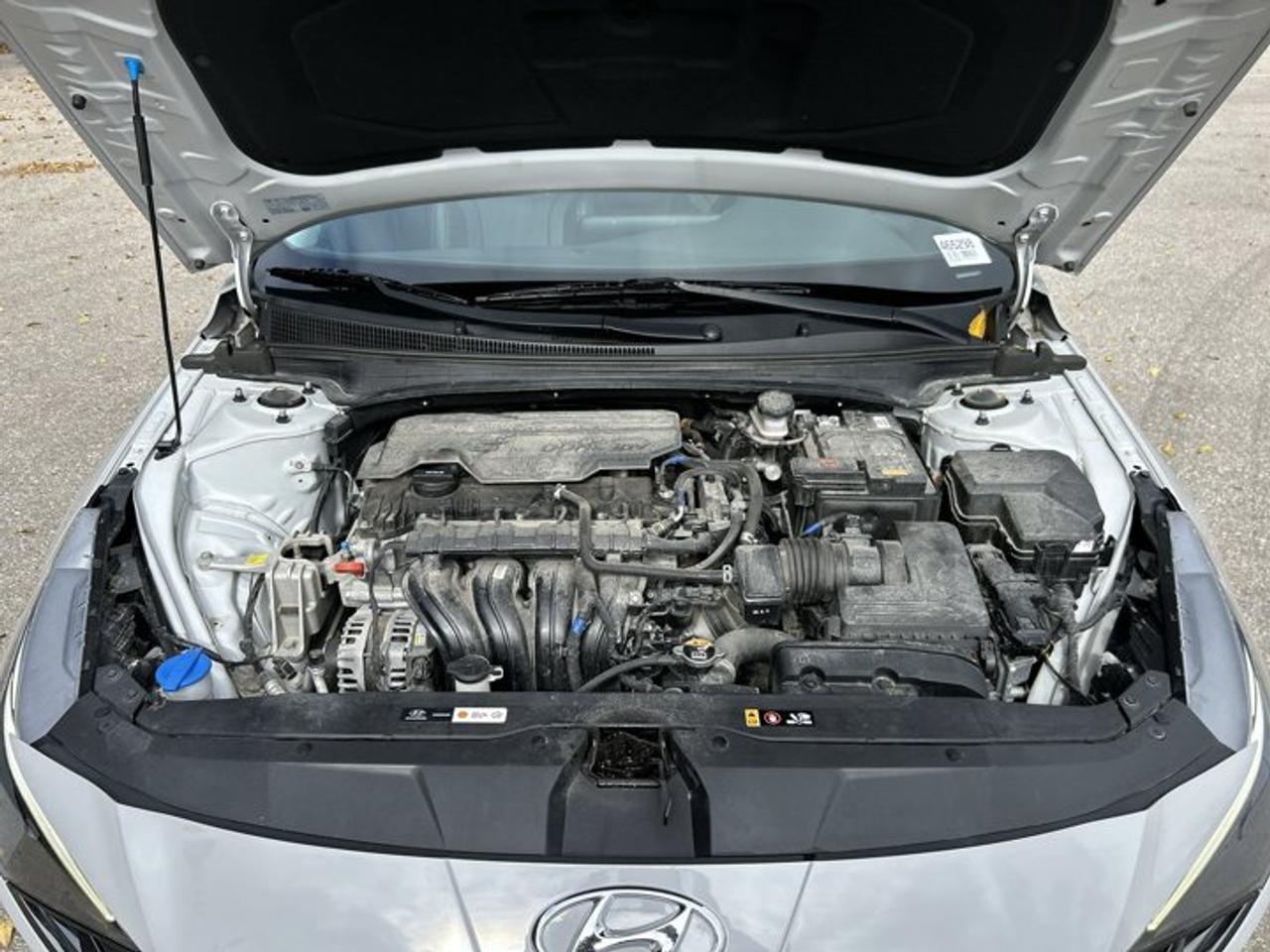 2023 Hyundai Elantra Luxury | One Owner | No Accidents | Sunroof | Leather Seats Photo