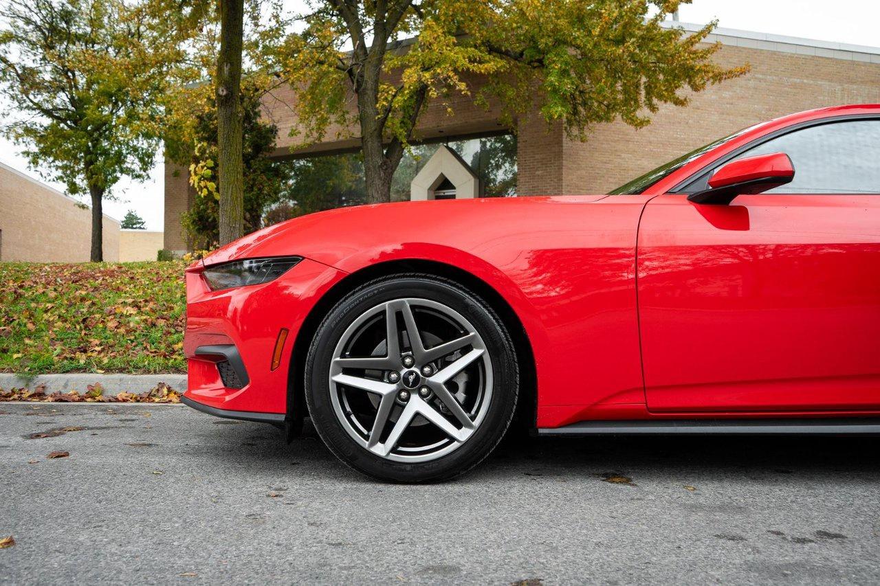2025 Ford Mustang EcoBoost Photo5