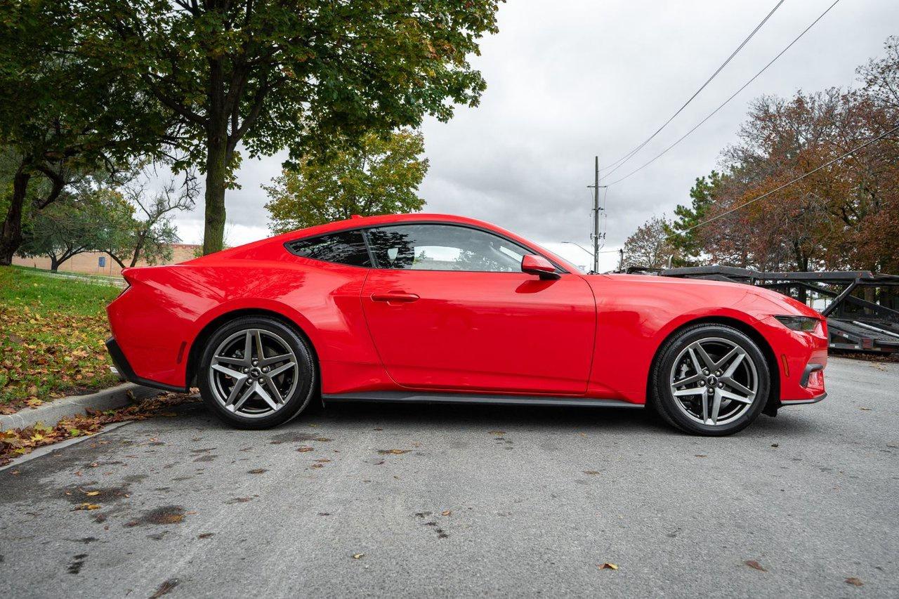 2025 Ford Mustang EcoBoost Photo