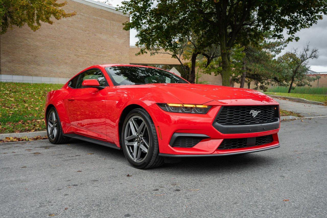 2025 Ford Mustang EcoBoost Photo