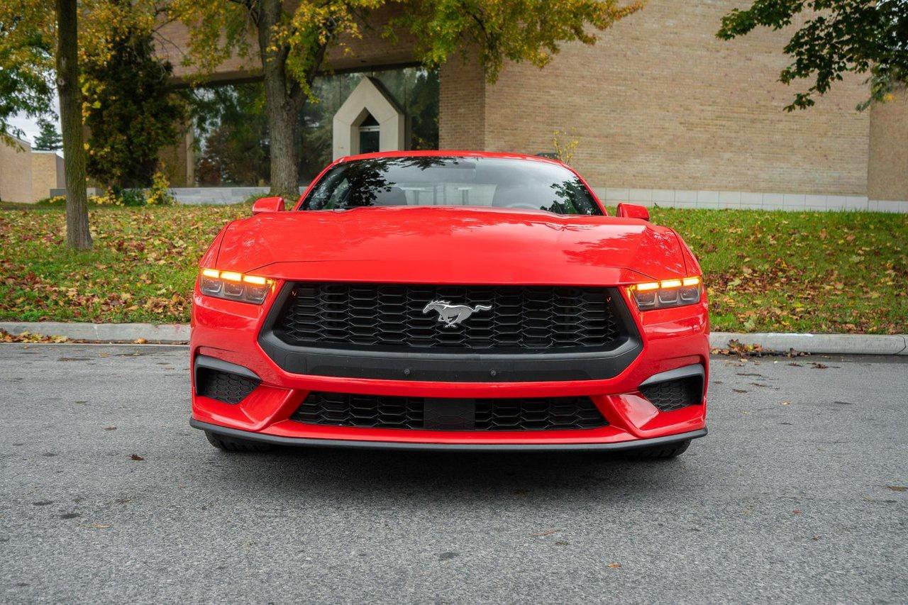 2025 Ford Mustang EcoBoost Photo