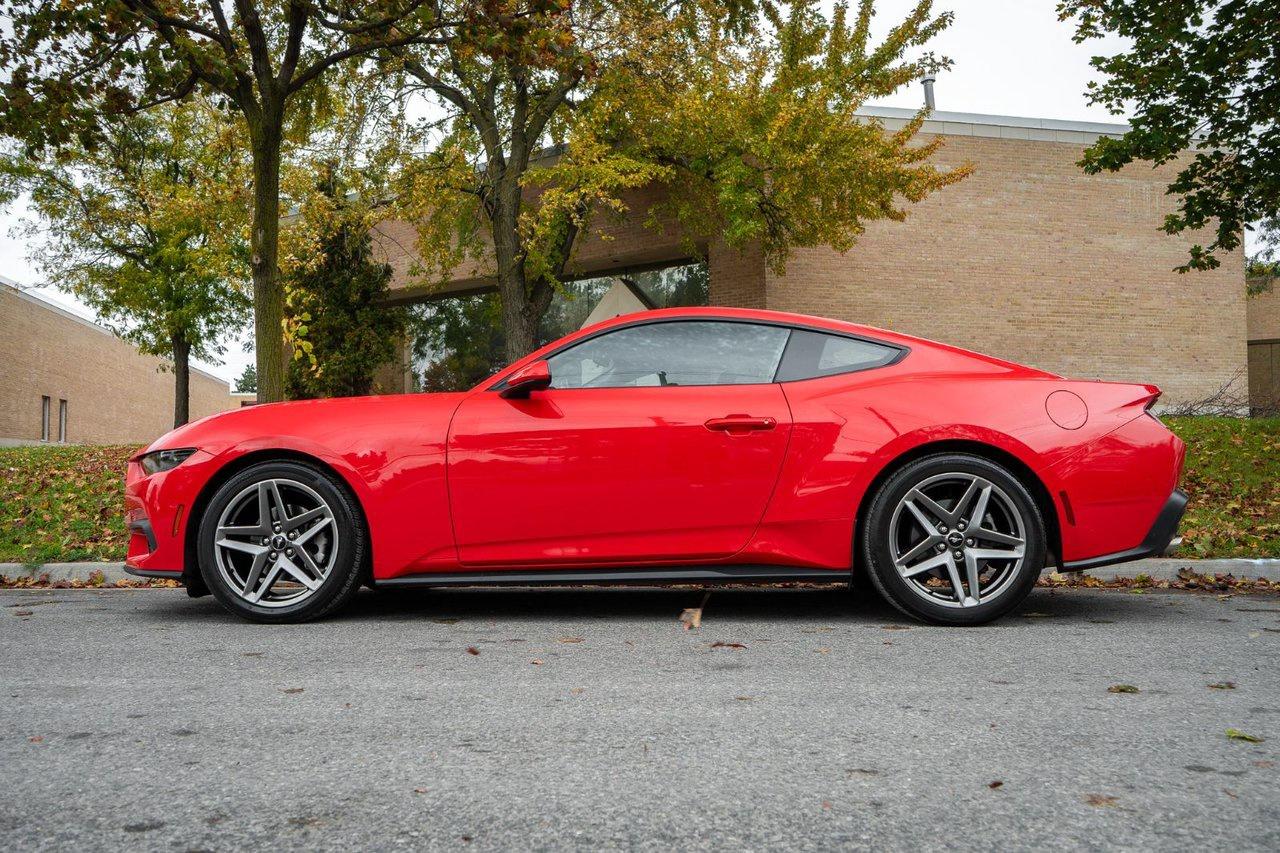 2025 Ford Mustang EcoBoost Photo