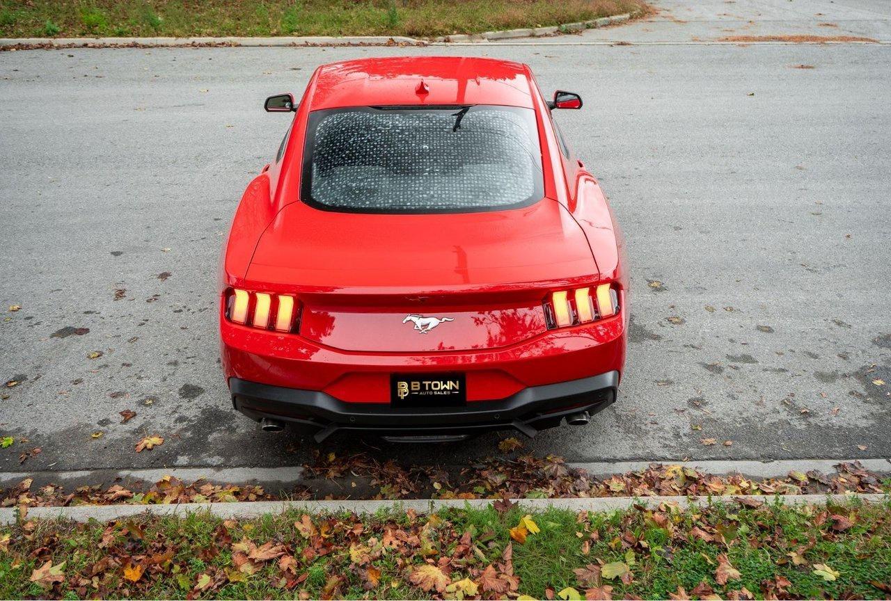 2025 Ford Mustang EcoBoost Photo