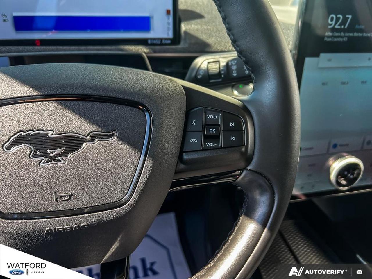 2022 Ford Mustang Mach-E Premium AWD Photo