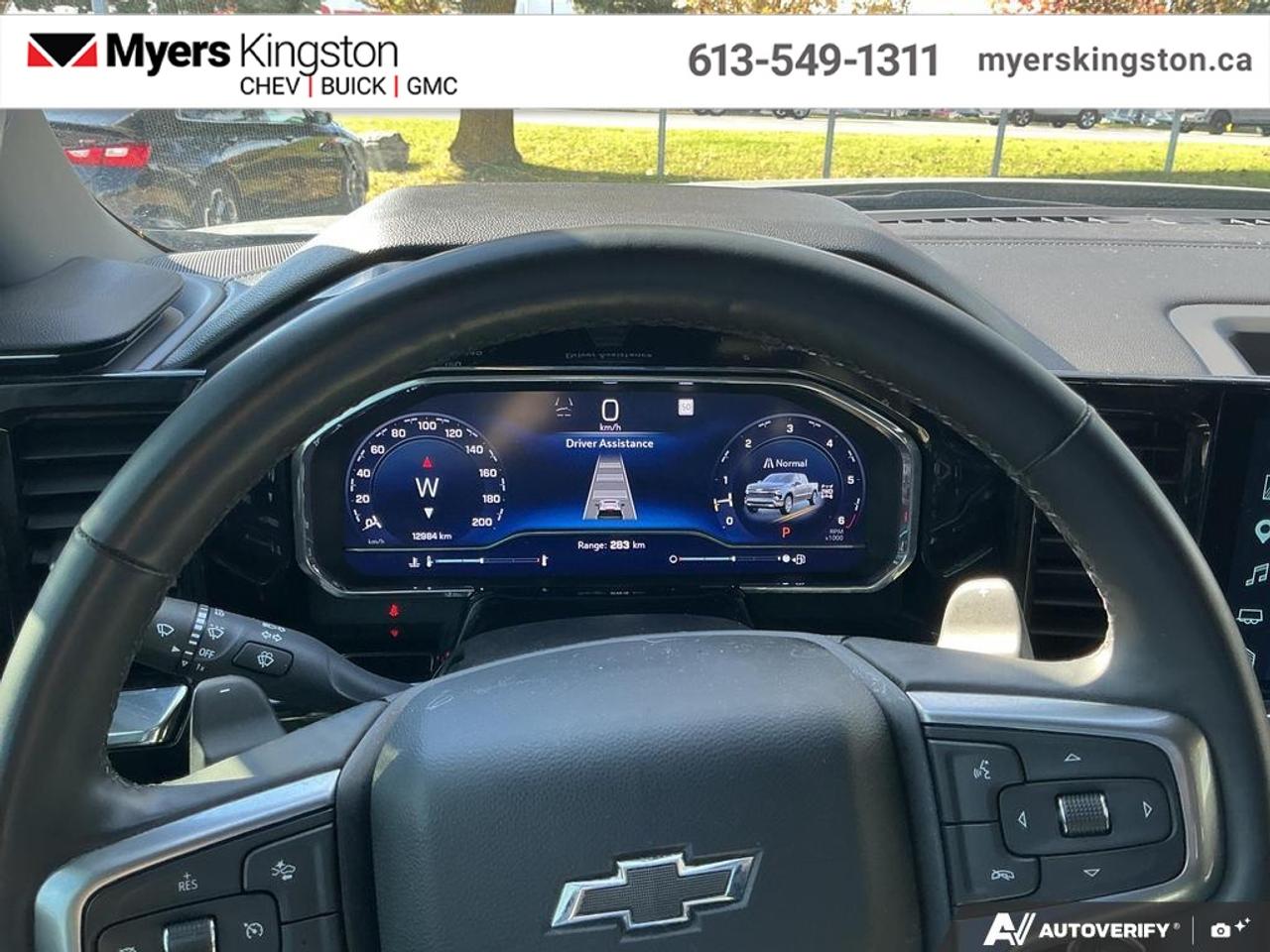 2025 Chevrolet Silverado 1500 RST  - Heated Seats - $391 B/W Photo