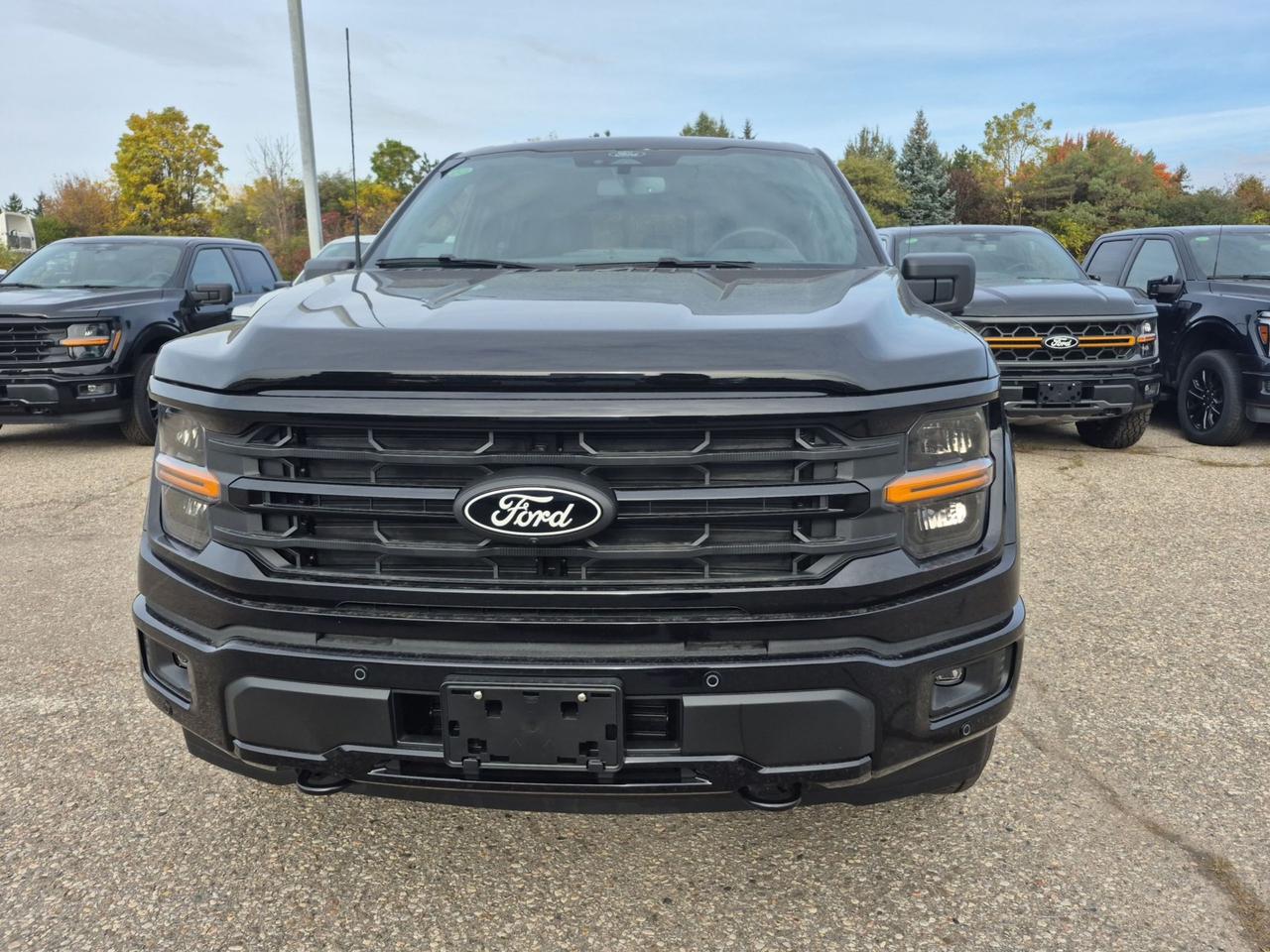 2026 Ford F-150 XLT 4WD, BLACK PKG, MOONROOF, B&O SOUND Photo1